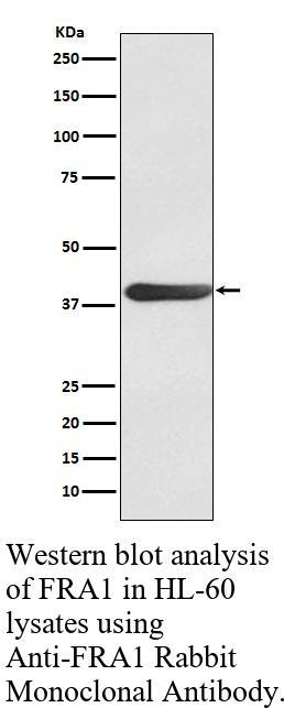生物相关数据