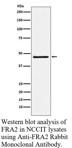生物相关数据