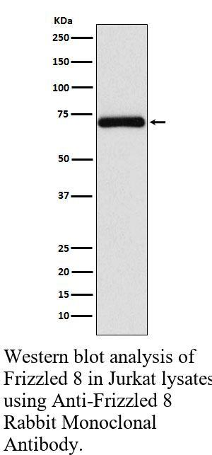 生物相关数据