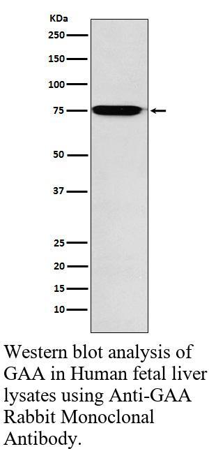 生物相关数据
