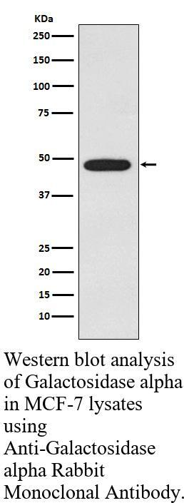 生物相关数据