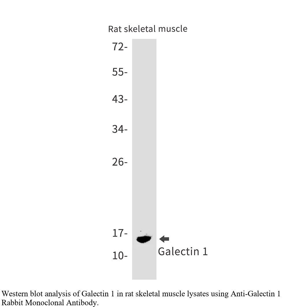 生物相关数据
