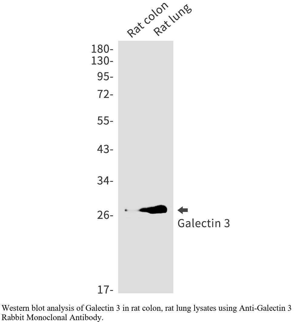 生物相关数据