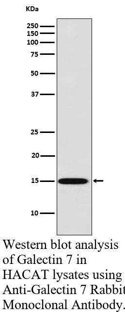 生物相关数据