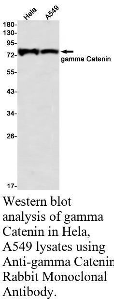 生物相关数据