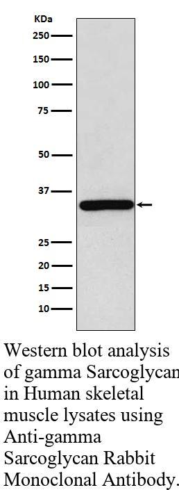 生物相关数据
