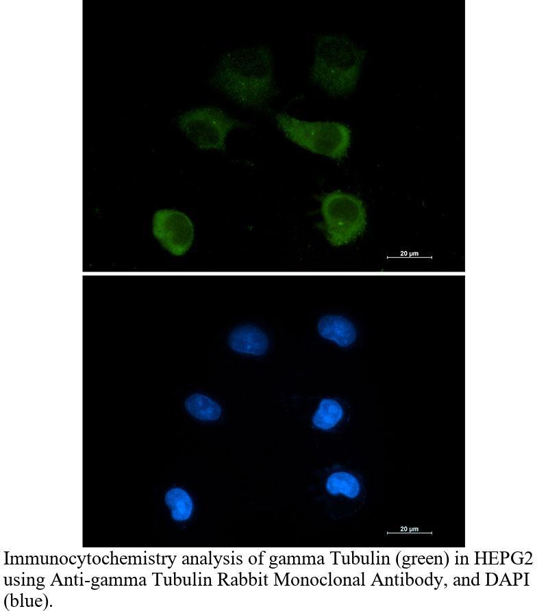 生物相关数据