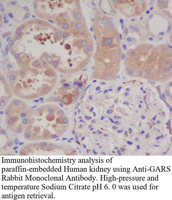 生物相关数据