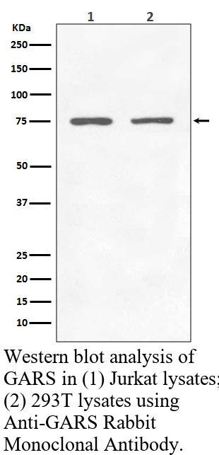 生物相关数据