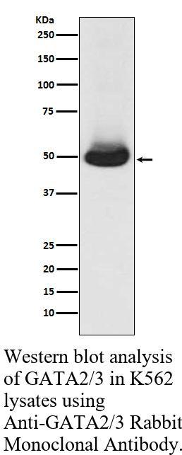 生物相关数据