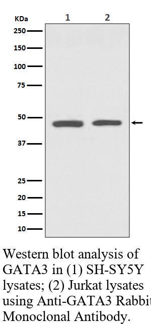 生物相关数据