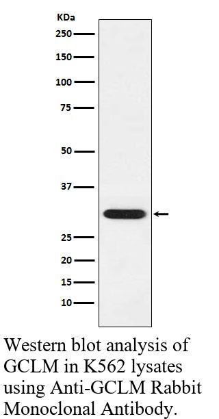 生物相关数据