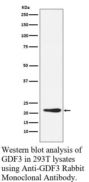 生物相关数据