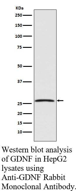 生物相关数据