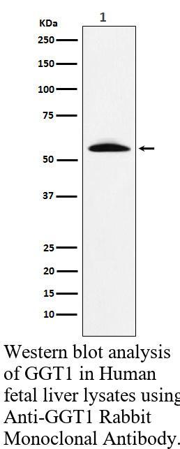 生物相关数据
