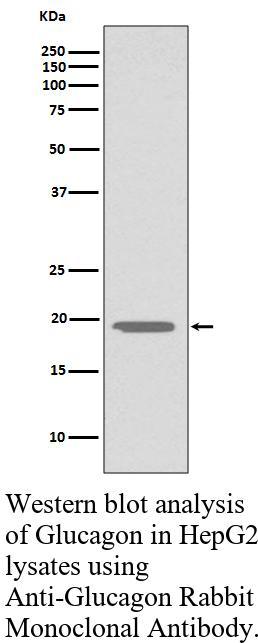 生物相关数据