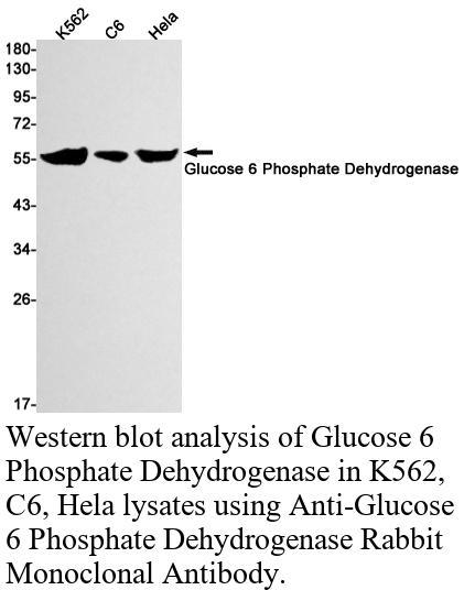 生物相关数据