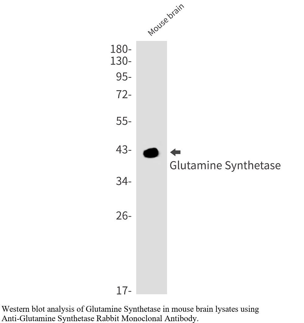 生物相关数据