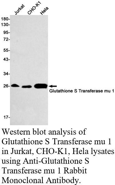 生物相关数据