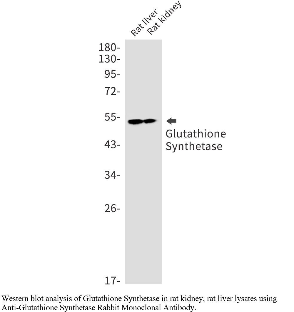 生物相关数据