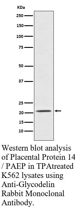 生物相关数据