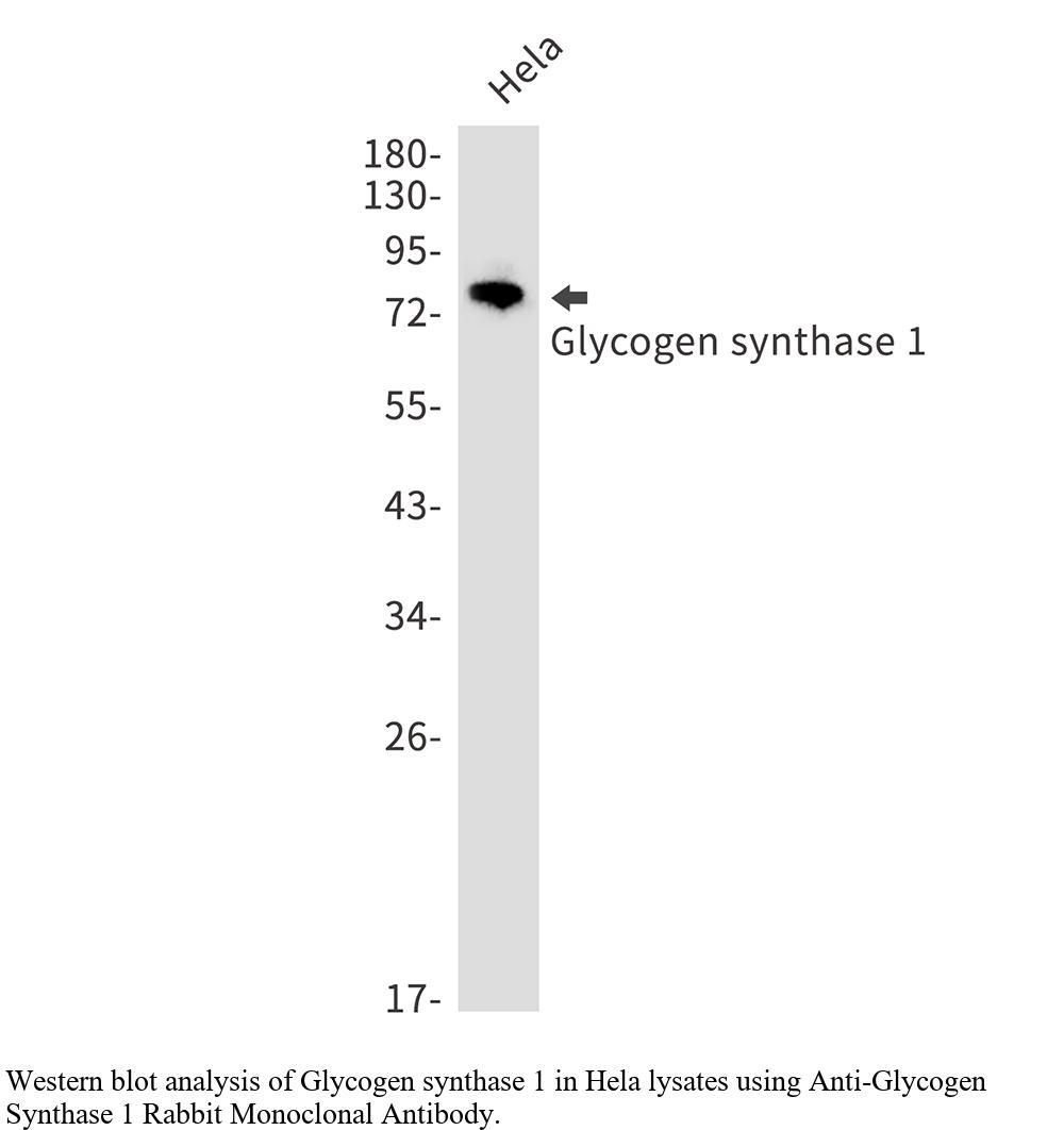 生物相关数据