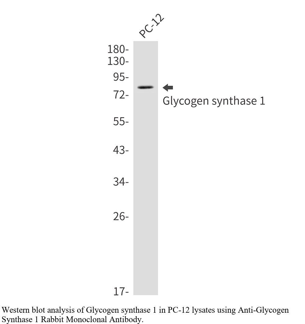 生物相关数据