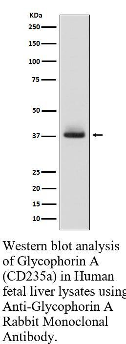 生物相关数据