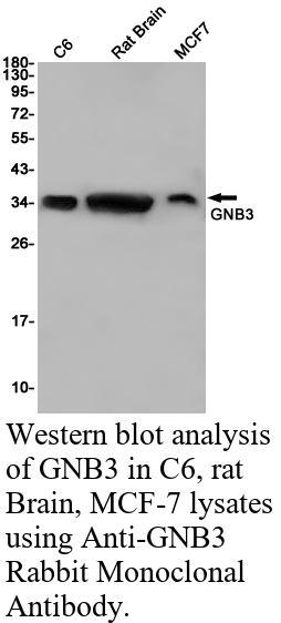生物相关数据