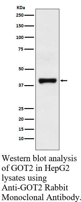 生物相关数据