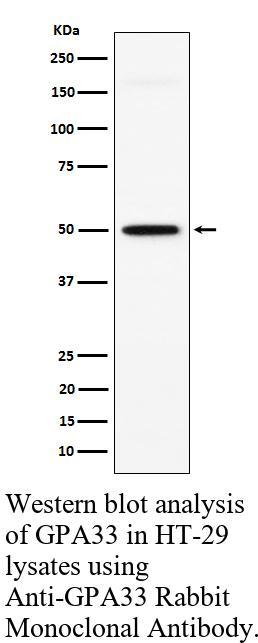 生物相关数据