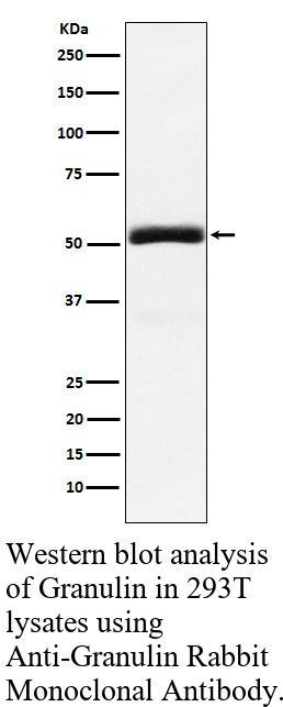 生物相关数据