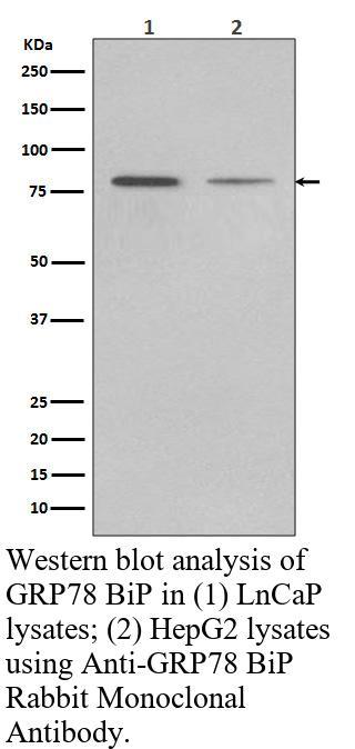 生物相关数据