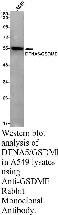 生物相关数据