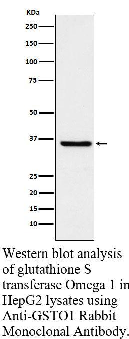 生物相关数据