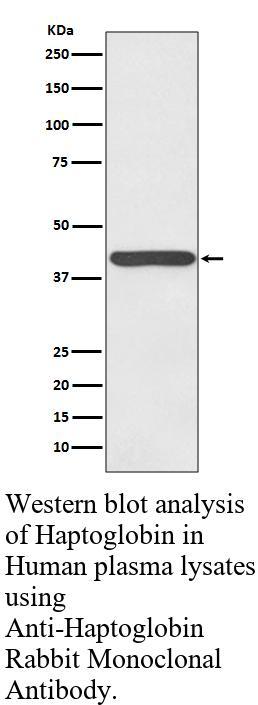 生物相关数据