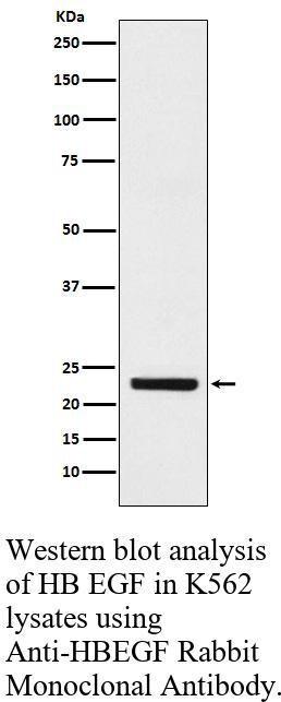 生物相关数据