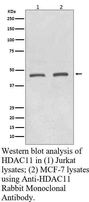 生物相关数据