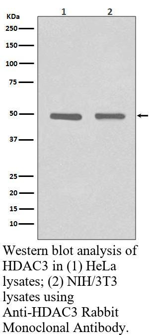 生物相关数据