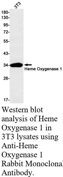 生物相关数据