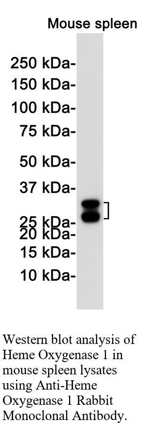 生物相关数据