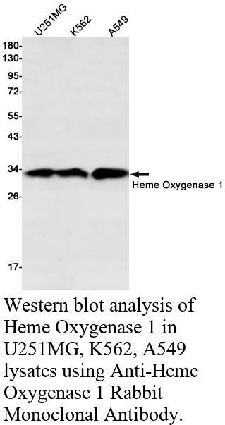 生物相关数据