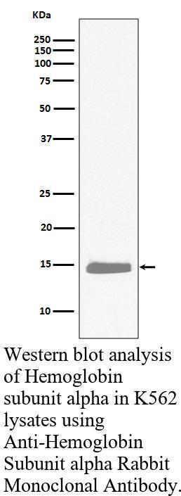 生物相关数据