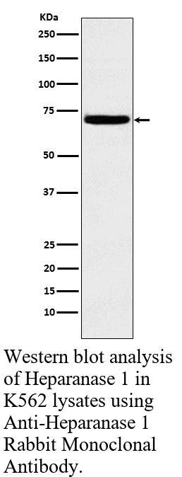 生物相关数据