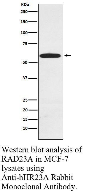 生物相关数据