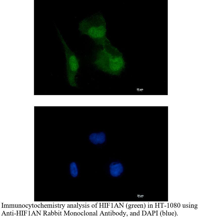 生物相关数据