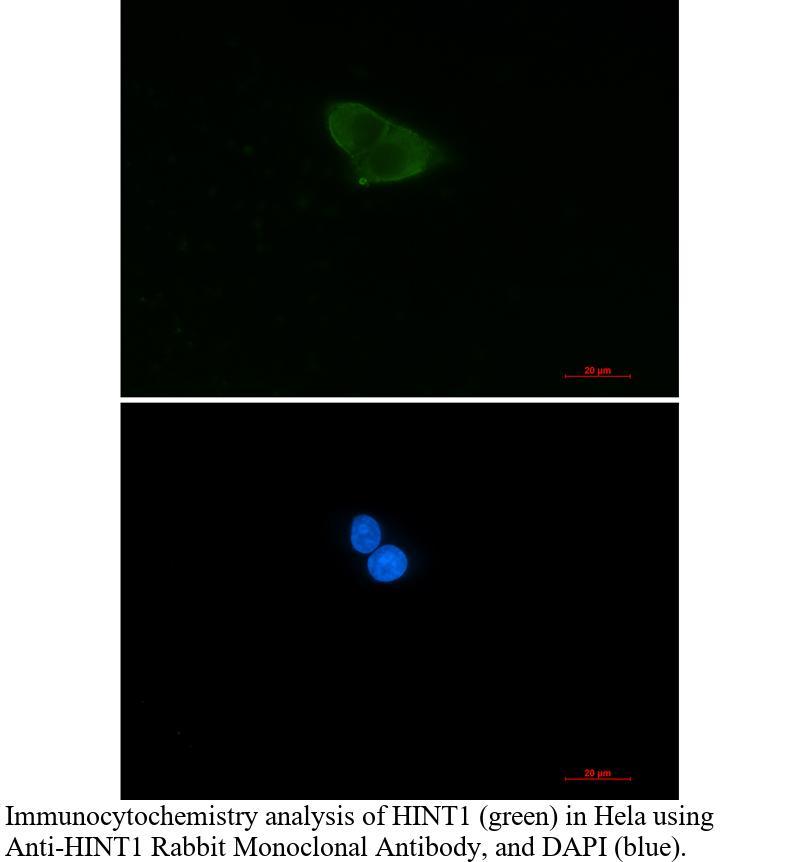 生物相关数据