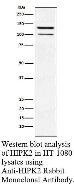 生物相关数据