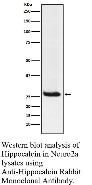 生物相关数据