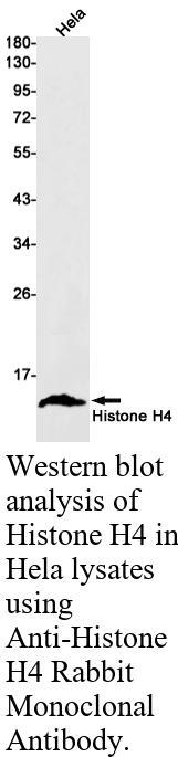生物相关数据